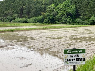 SDGsの取り組み