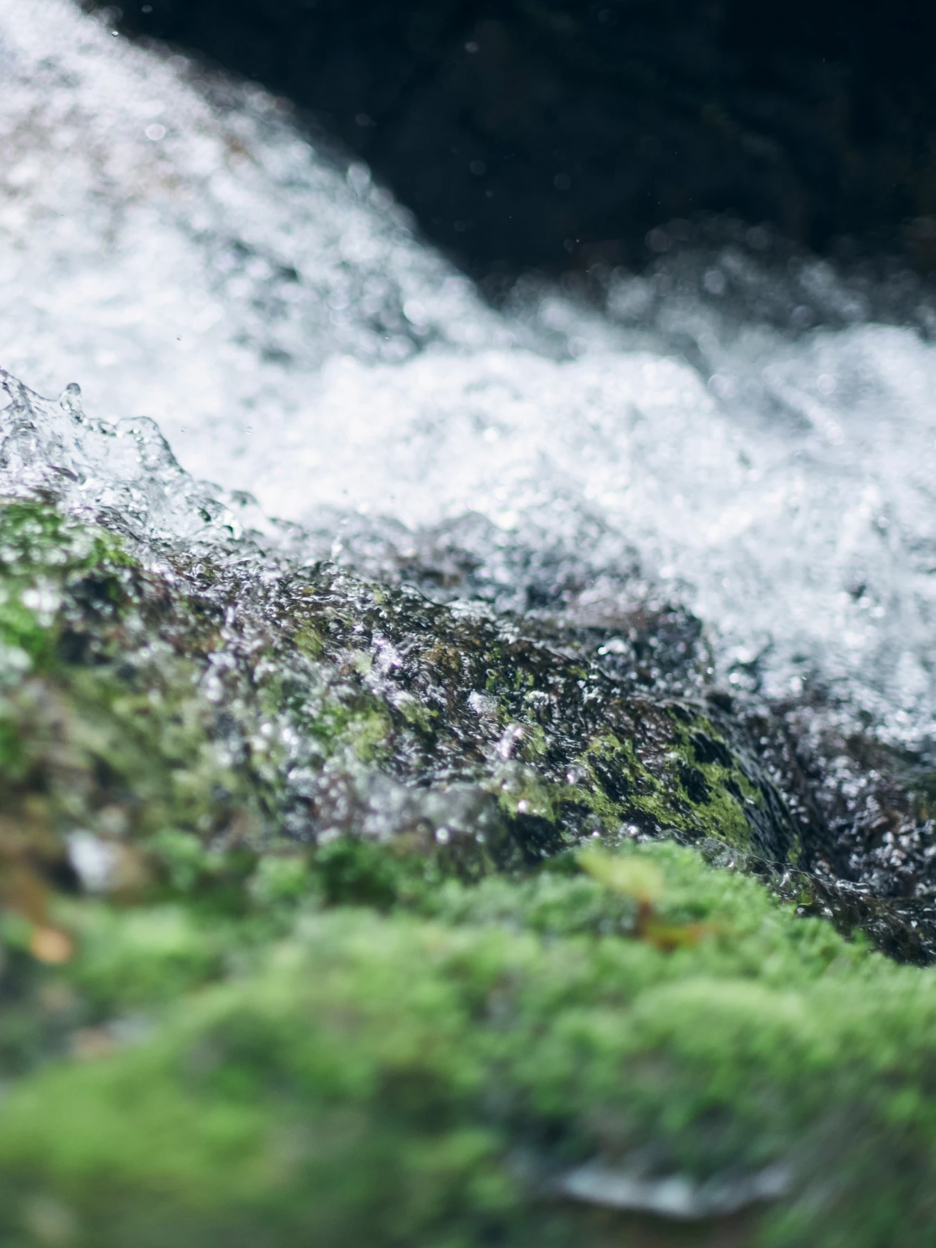 純米酢を通して、土地に触れる